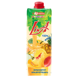 Multifruit juice drink Lina 0.97 L