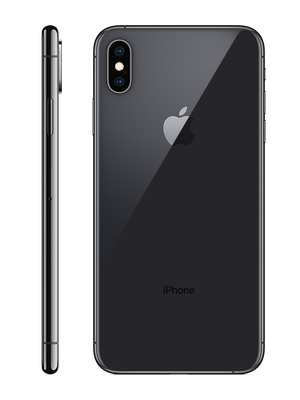 iPhone Xs 64 GB (Space Gray) photo