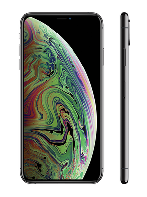 iPhone Xs 256 GB (Space Gray) photo