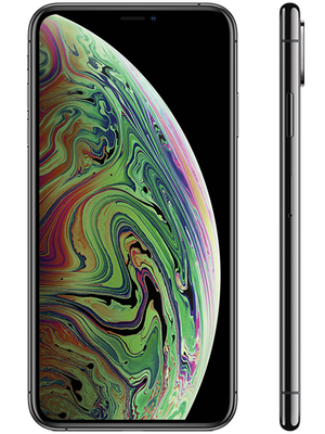 iPhone XS Max 64 GB (Space Gray) photo