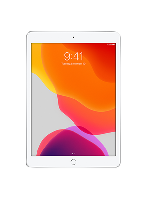 iPad 7 10.2 2019 128 GB LTE (Արծաթագույն) photo