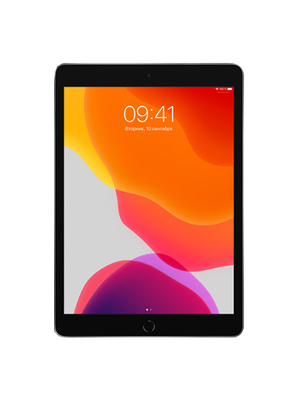 iPad 7 10.2 2019 128 GB WI FI (Серый) photo