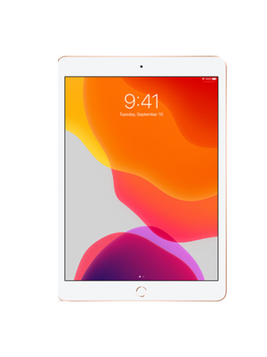 iPad 7 10.2 2019 128 GB WI FI (Ոսկեգույն) photo