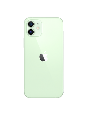 iPhone 12 Mini 256 GB (Зеленый) photo