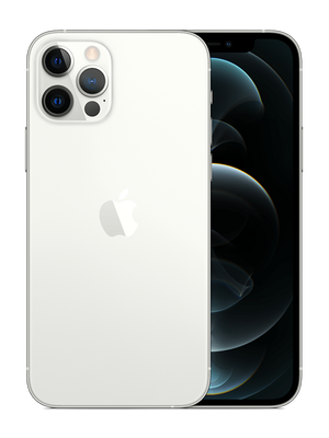 iPhone 12 Pro 256 GB (Серебряный)