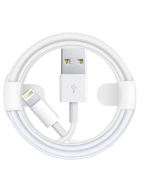 Apple Lightning to USB Cable With Box