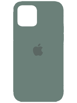 Apple Silicone Case for iPhone 12/12 Pro (Մուգ Փիրուզագույն)