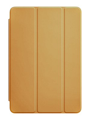 iPad Mini 5 7.9 inch Original case (Gold)