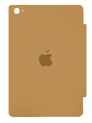 iPad Mini 5 7.9 inch Original case (Ոսկեգույն) photo