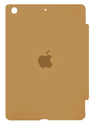 iPad 10.2 inch Smart Case (Gold) photo