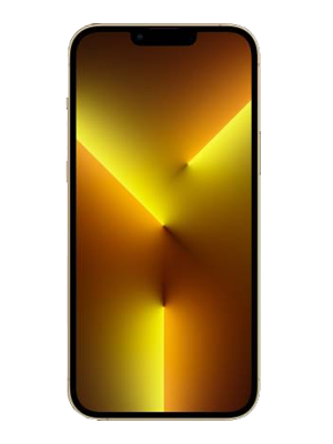 iPhone 13 Pro 1TB (Gold) photo