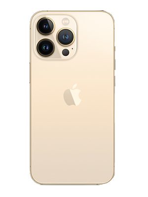 iPhone 13 Pro 1TB (Gold) photo