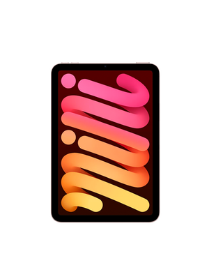 iPad Mini 6 8.3 2021 64 GB Wi-Fi (Розовый) photo