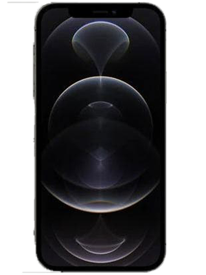 iPhone 12 Pro Max 128 GB (Серый) photo