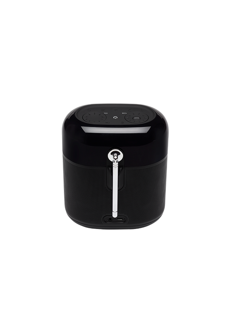 JBL Tuner 2 XL FM (Black)