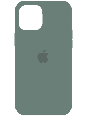 Apple Silicone Case for iPhone 12 Pro Max (Մուգ Փիրուզագույն) photo