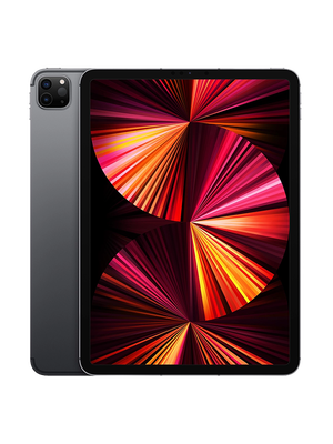 iPad Pro 11 128 GB LTE 2021 (Серый)