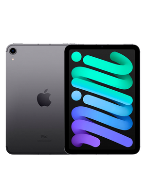 iPad Mini 6 8.3 2021 256 GB Wi-Fi + Cellular (Серый)