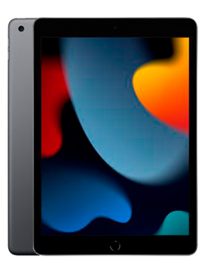 iPad 9 10.2 256 GB LTE (Space Gray)
