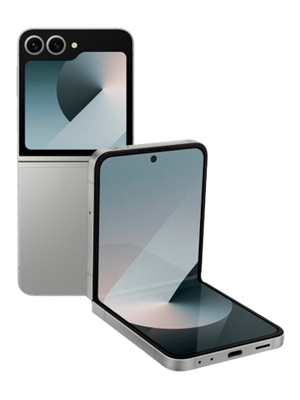 Samsung Galaxy Z Flip 6 12/256 GB (Արծաթագույն)