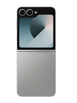 Samsung Galaxy Z Flip 6 12/512 GB (Արծաթագույն) photo