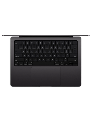MacBook Pro 14 M4 16/1 TB MW2V3 2024 (Черный) photo