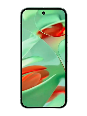 Google Pixel 9 12/256GB (Կանաչ) photo