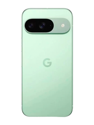Google Pixel 9 12/256GB (Կանաչ) photo