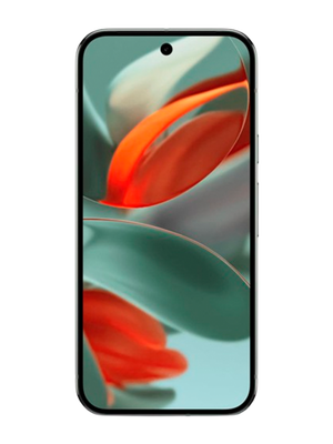Google Pixel 9 Pro 16/256GB (Կանաչ) photo