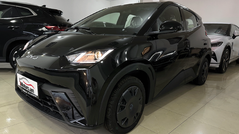 BYD Seagull Vitality photo