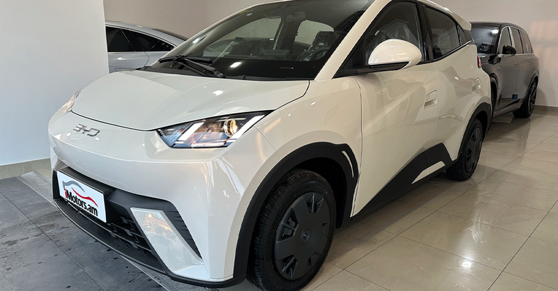 BYD Seagull Vitality photo