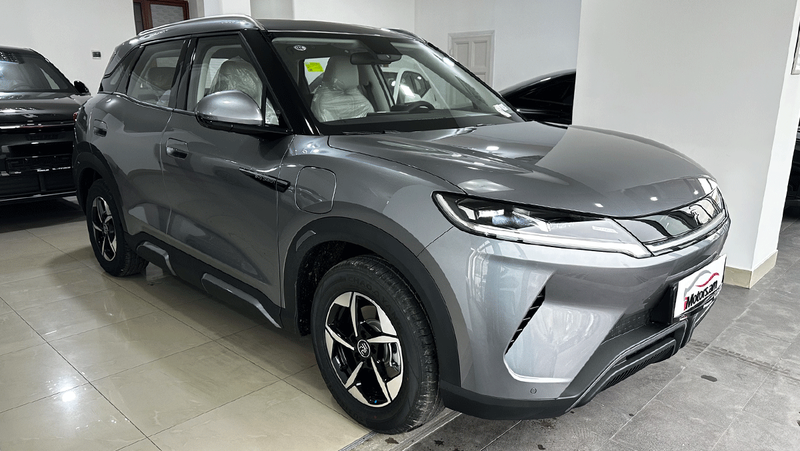 BYD Yuan UP 401KM Surpassing Type photo