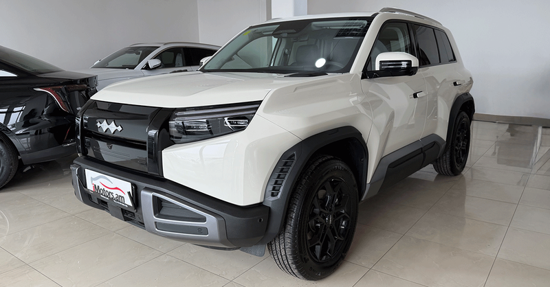 BYD Leopard 3 501 MAX 2WD photo