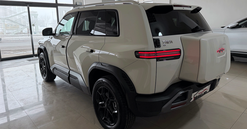 BYD Leopard 3 501 MAX 2WD photo