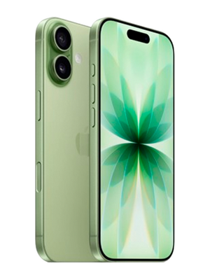 iPhone 17 256 GB eSim (Зеленый) photo